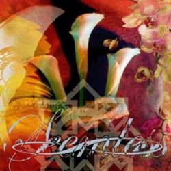 Seemless : What Have We Become